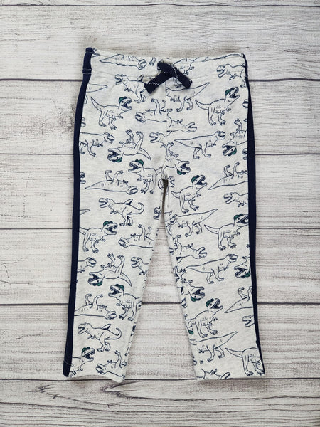 Dinosaur French Terry Joggers