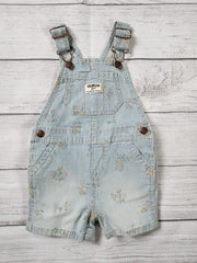 Floral Hickory Stripe Shortalls