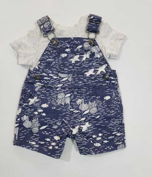 2-Piece Ocean Tee & Shortall Set